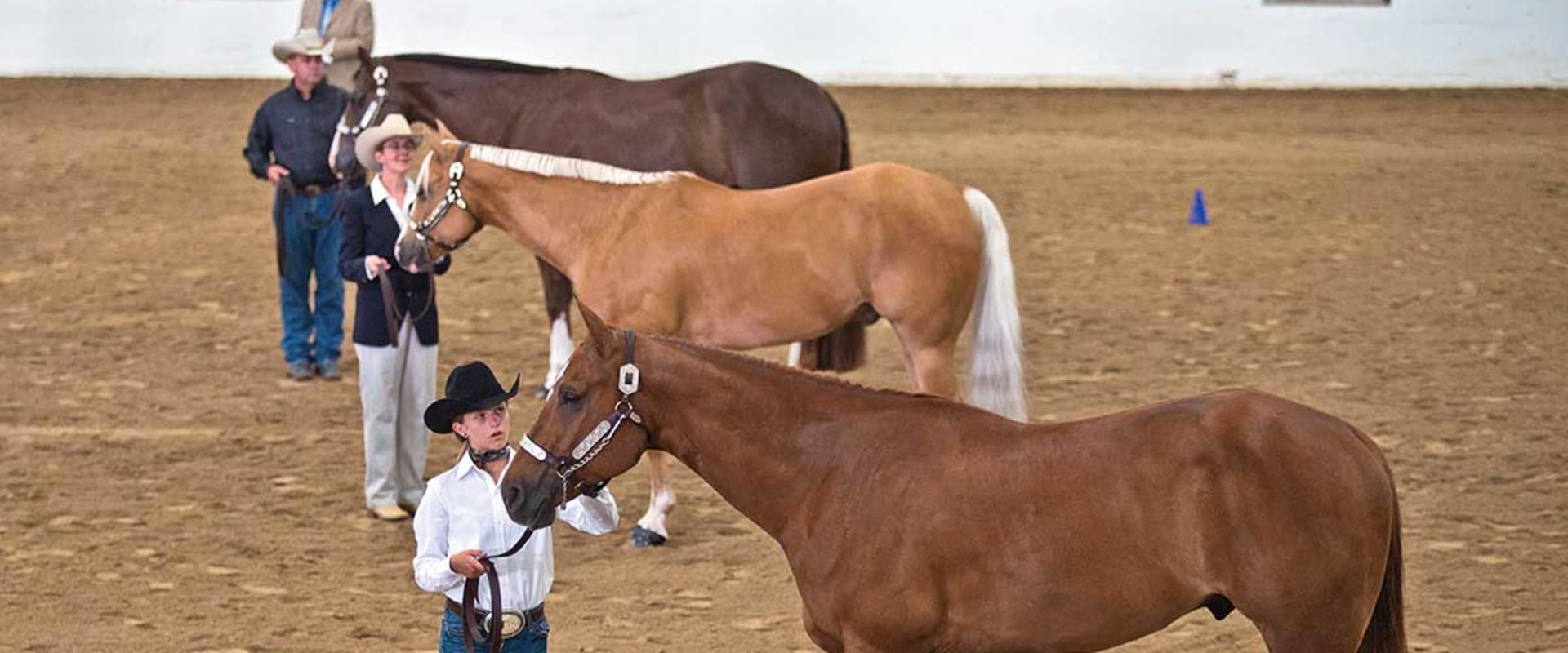 The Average Duration of Horse Shows in Southwestern Missouri