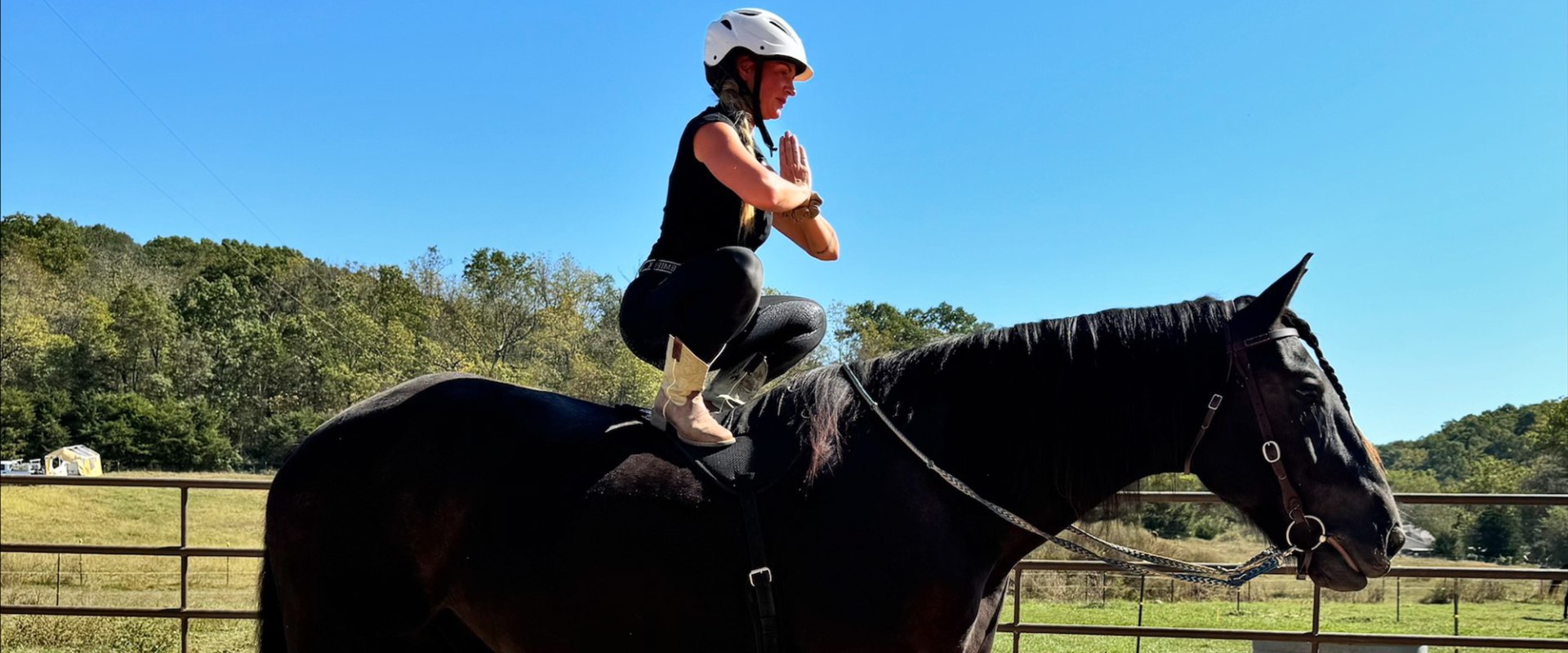 The Ultimate Guide to Horse Shows in Southwestern Missouri