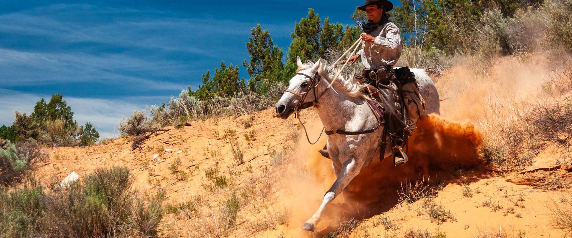 The Ultimate Guide to Western Horse Shows in Southwestern Missouri