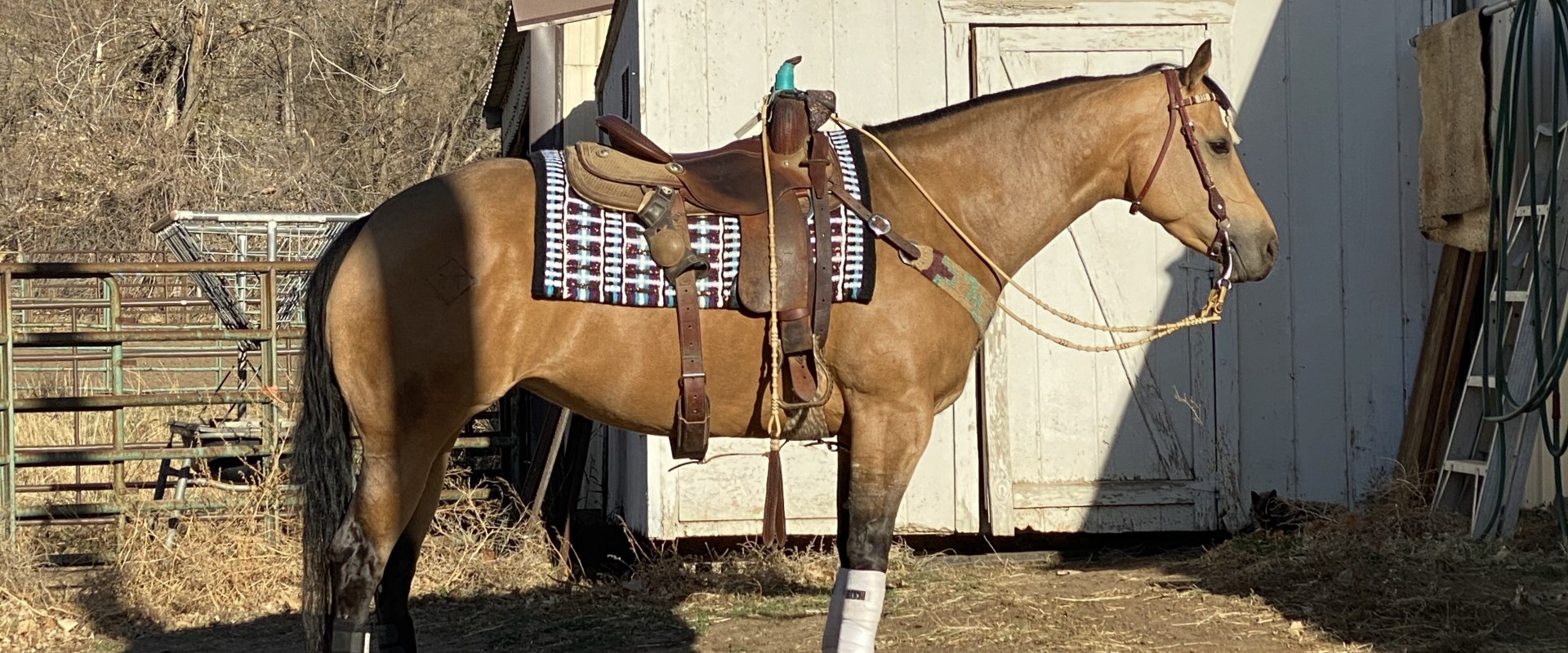 The Ultimate Guide to Dress Code for Horse Shows in Southwestern Missouri: An Expert's Perspective