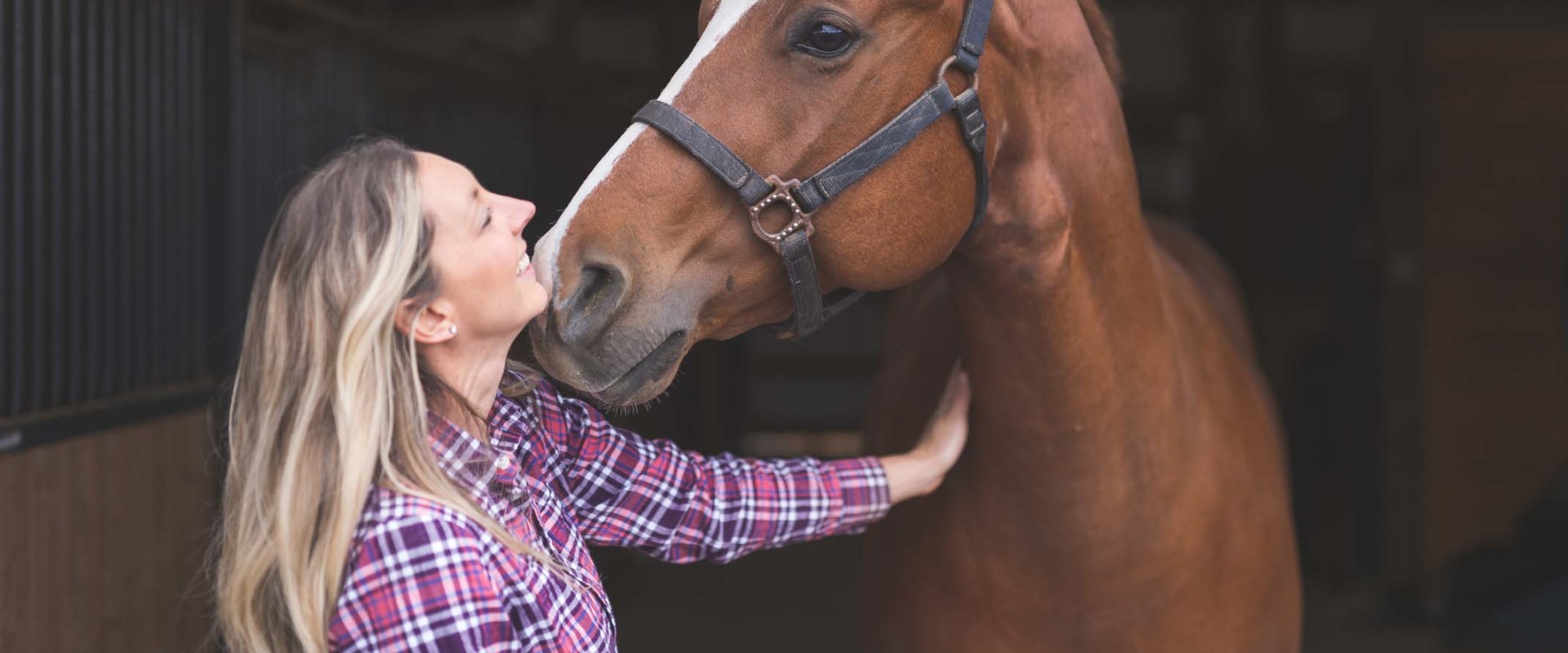 The Expert's Guide to Registering Your Horse for a Show in Southwestern Missouri