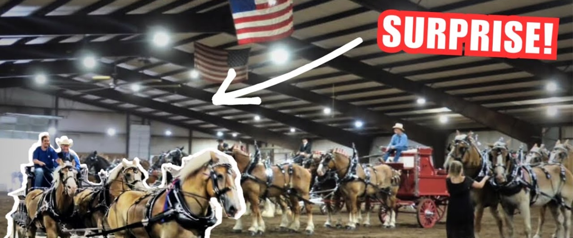 Mastering the Art of Entering Multiple Horses in a Single Show in Southwestern Missouri