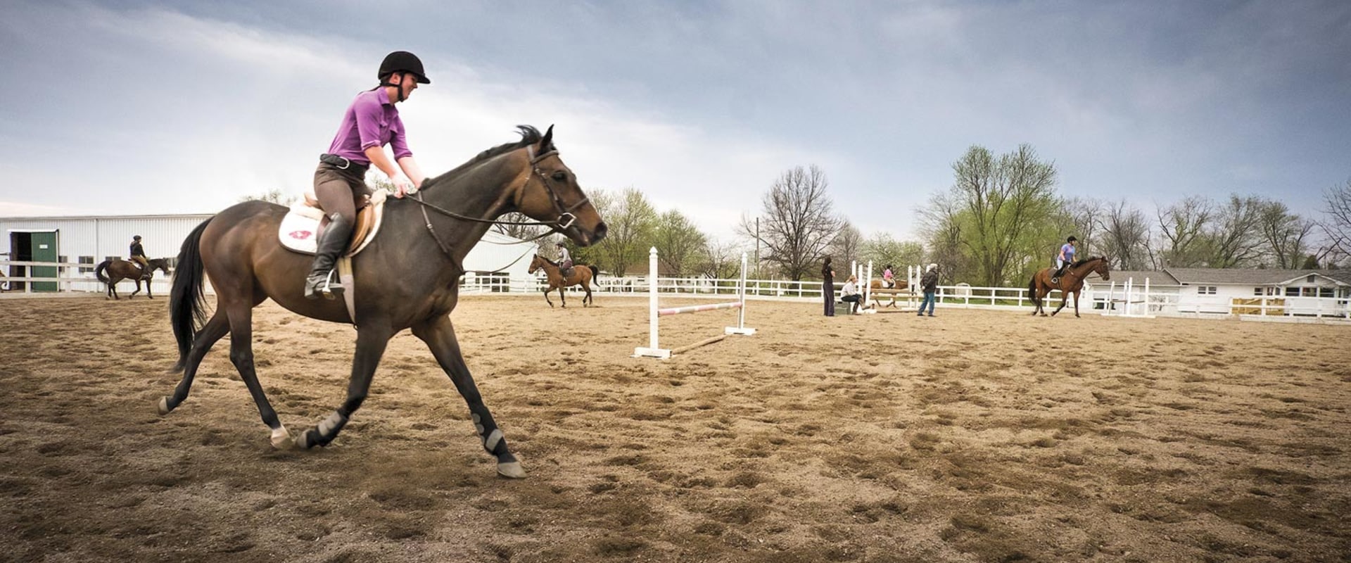 The Controversy of Performance-Enhancing Substances at Horse Shows in Southwestern Missouri