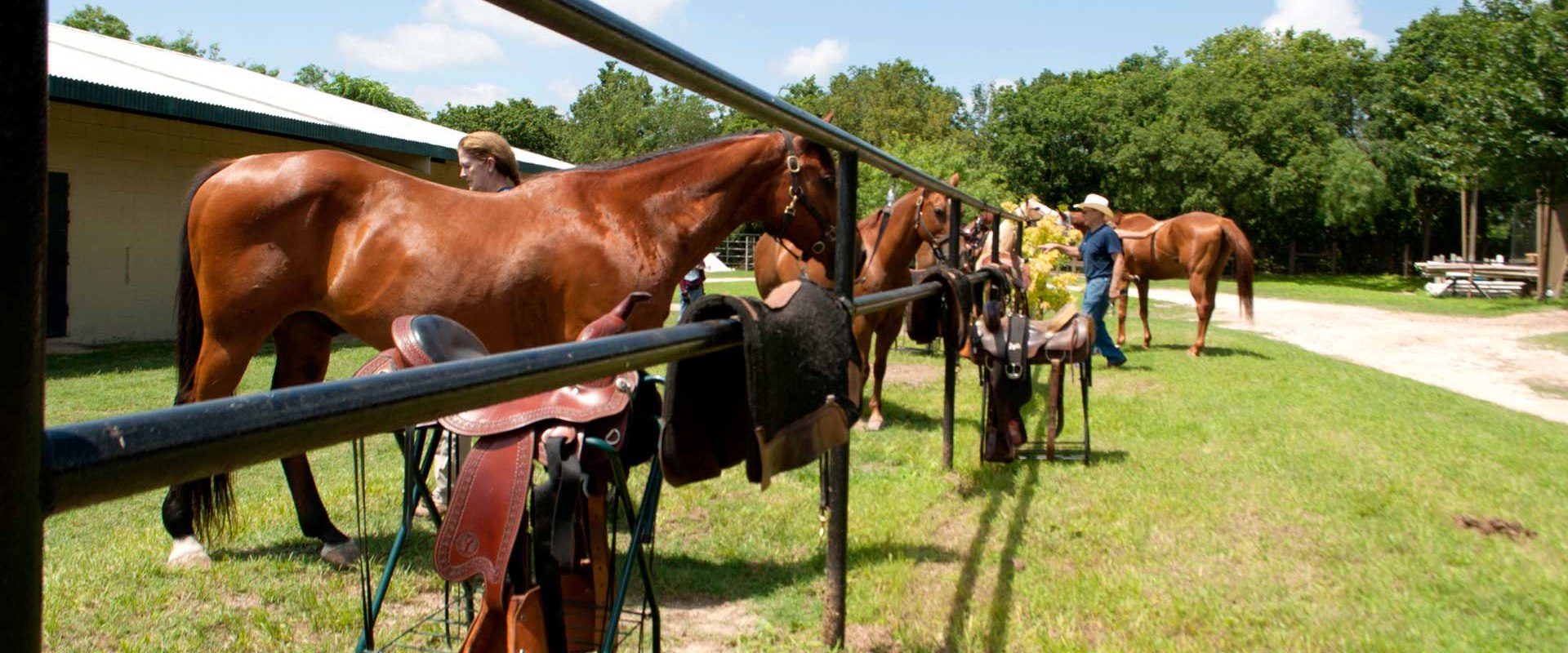 Making Horse Shows Accessible for Disabled Riders in Southwestern Missouri