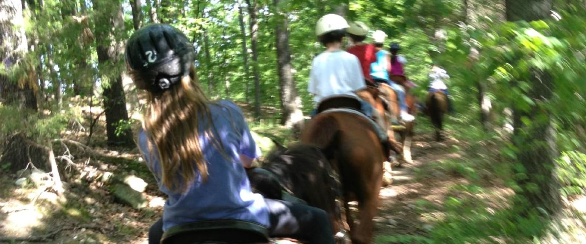 The Culinary Delights of Horse Shows in Southwestern Missouri