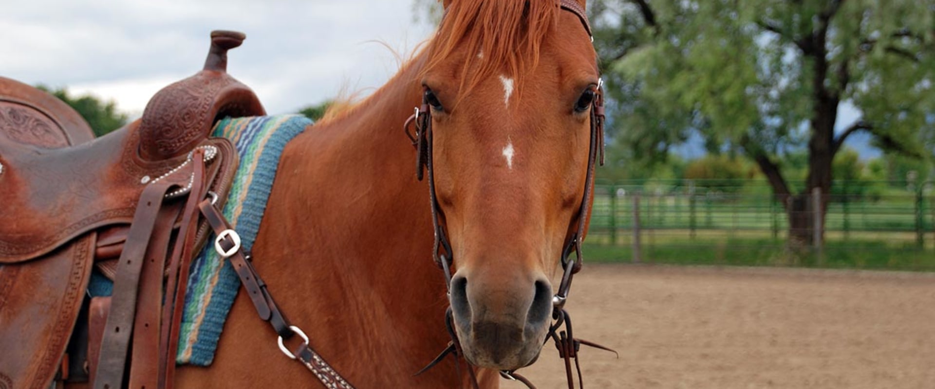 The Cost of Stabling Your Horse at a Show in Southwestern Missouri