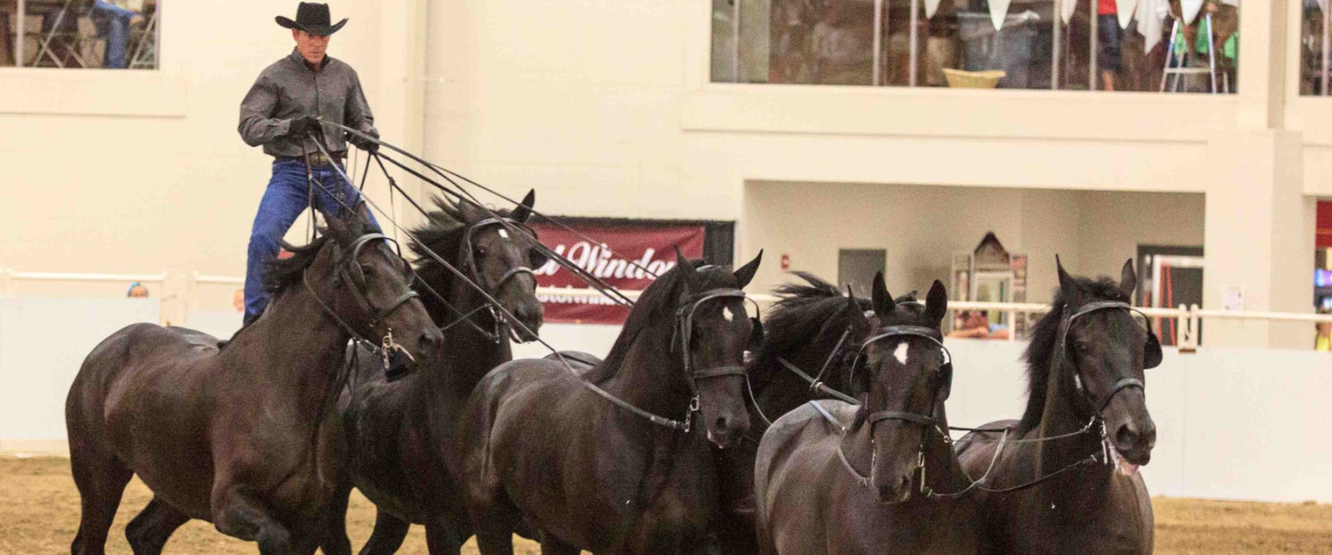 The Fascinating World of Horse Shows in Southwestern Missouri