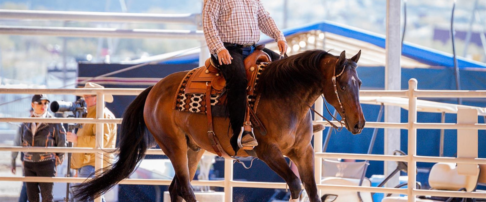 The Diverse World of Horse Shows in Southwestern Missouri