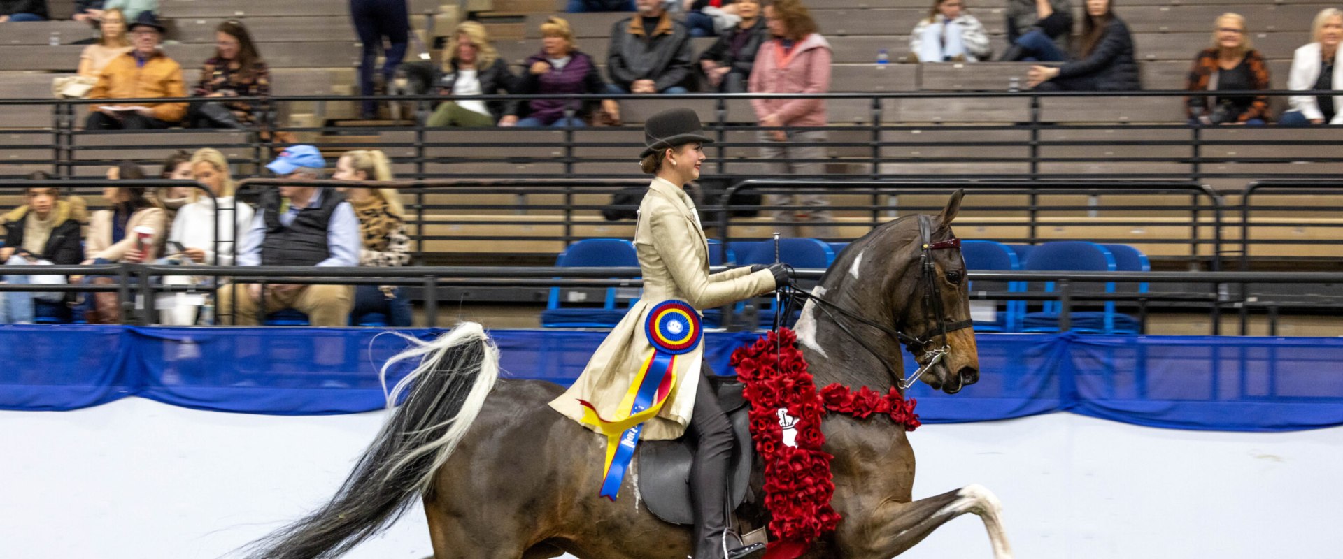 The Best Horse Shows in Southwestern Missouri