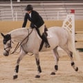 Exploring the Thriving Horse Community in Southwestern Missouri