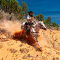 The Ultimate Guide to Western Horse Shows in Southwestern Missouri