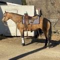 The Ultimate Guide to Dress Code for Horse Shows in Southwestern Missouri: An Expert's Perspective