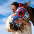 The Evolution of Horse Shows in Southwestern Missouri