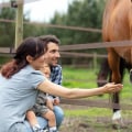 Maximizing Opportunities for Vendors at Horse Shows in Southwestern Missouri