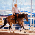 The Unsung Heroes of Horse Shows in Southwestern Missouri