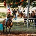 The Art of Judging Horse Shows in Southwestern Missouri