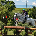 The Ultimate Guide to Age Divisions for Riders at Horse Shows in Southwestern Missouri