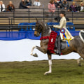 The Best Horse Shows in Southwestern Missouri