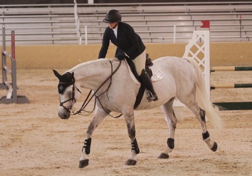 Exploring the Thriving Horse Community in Southwestern Missouri