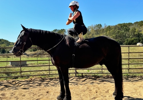 The Ultimate Guide to Horse Shows in Southwestern Missouri