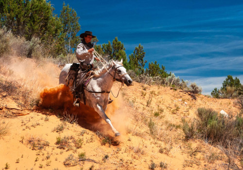 The Ultimate Guide to Western Horse Shows in Southwestern Missouri