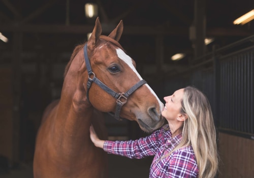 The Expert's Guide to Registering Your Horse for a Show in Southwestern Missouri