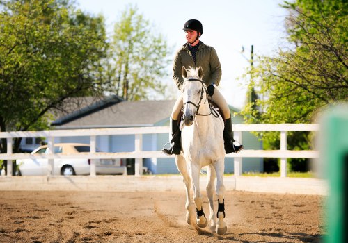 Unleashing the Educational Potential of Horse Shows in Southwestern Missouri