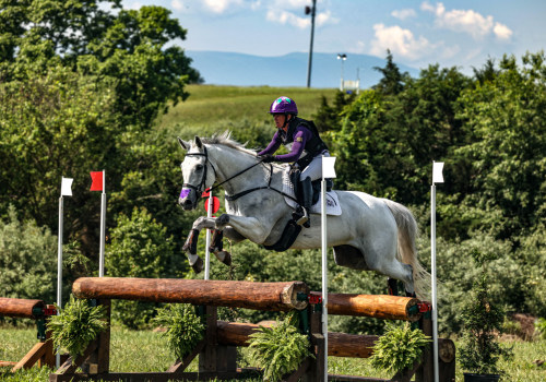 Horse Shows in Southwestern Missouri: A Beginner's Guide