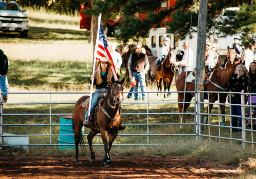 The Art of Judging Horse Shows in Southwestern Missouri