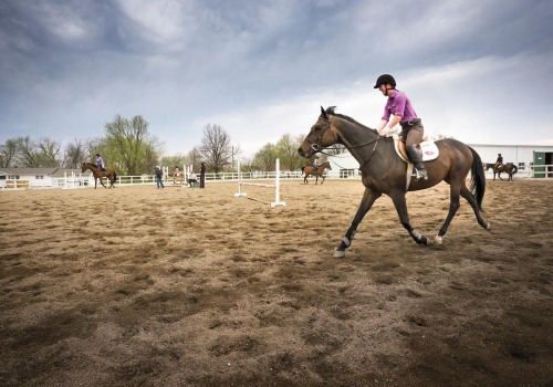 The Controversy of Performance-Enhancing Substances at Horse Shows in Southwestern Missouri