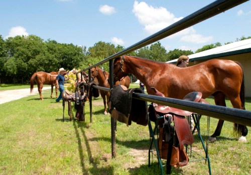 Making Horse Shows Accessible for Disabled Riders in Southwestern Missouri