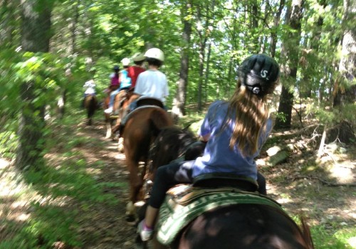 The Culinary Delights of Horse Shows in Southwestern Missouri