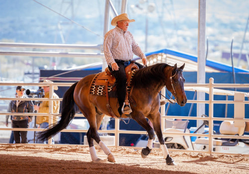 The Diverse World of Horse Shows in Southwestern Missouri