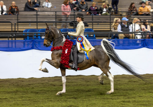 The Best Horse Shows in Southwestern Missouri